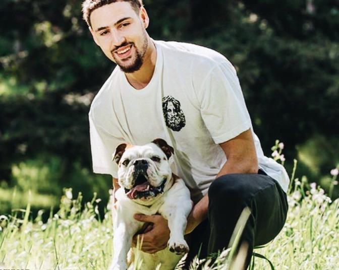 克莱痛失爱犬Rocco,13岁爱犬将接受安乐死