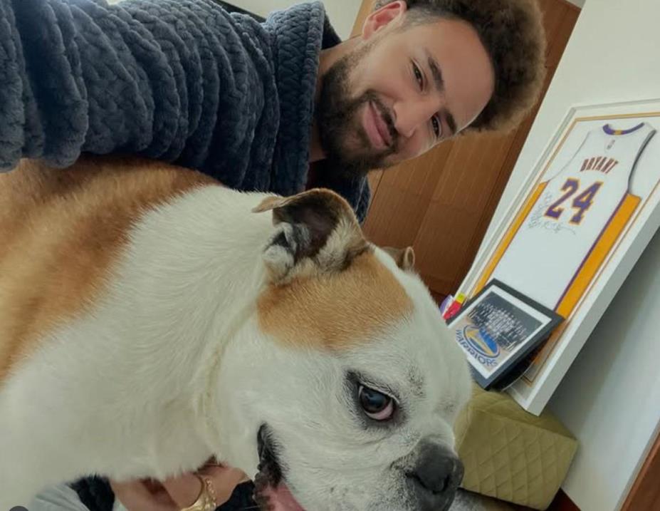 克莱告别爱犬Rocco:你将在狗狗的天堂里继续玩篮球