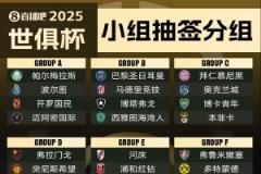  世俱杯参赛队伍国家联赛分布：20国联赛球队参与 巴西4队居首
