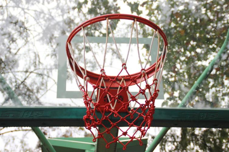 CBA青岛队无缘黑八,杨瀚森或成NBA备选,媒体人不看好 BR预测快船51号签选他
