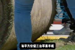 新诺坎普草皮每平方价值3台苹果手机,每年维护费用高达200万